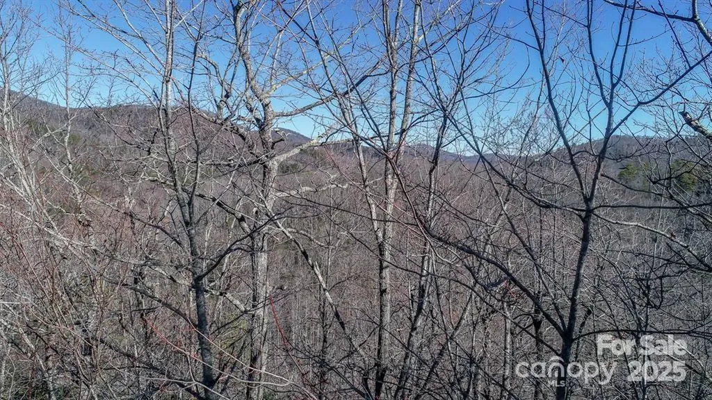 82 Davey Crockett Road Fairview NC 28730