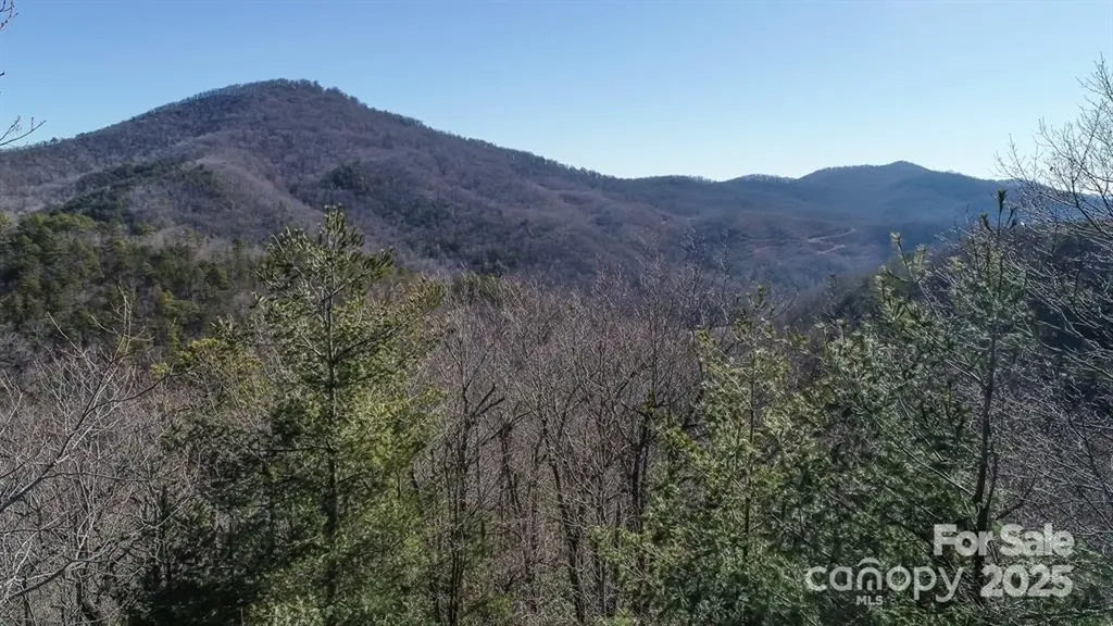 82 Davey Crockett Road Fairview NC 28730