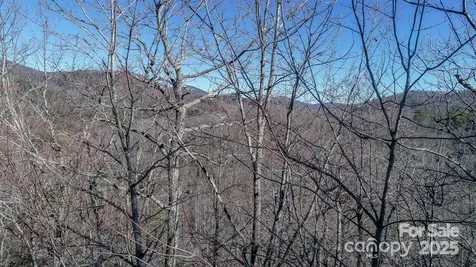 82 Davey Crockett Road Fairview NC 28730