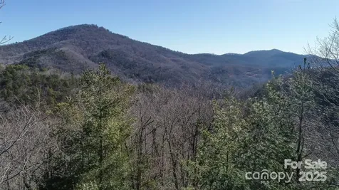 82 Davey Crockett Road Fairview NC 28730