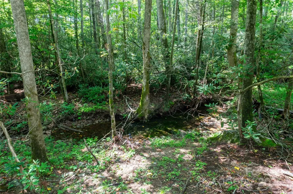 245 White Oak Creek Road Burnsville NC 28714