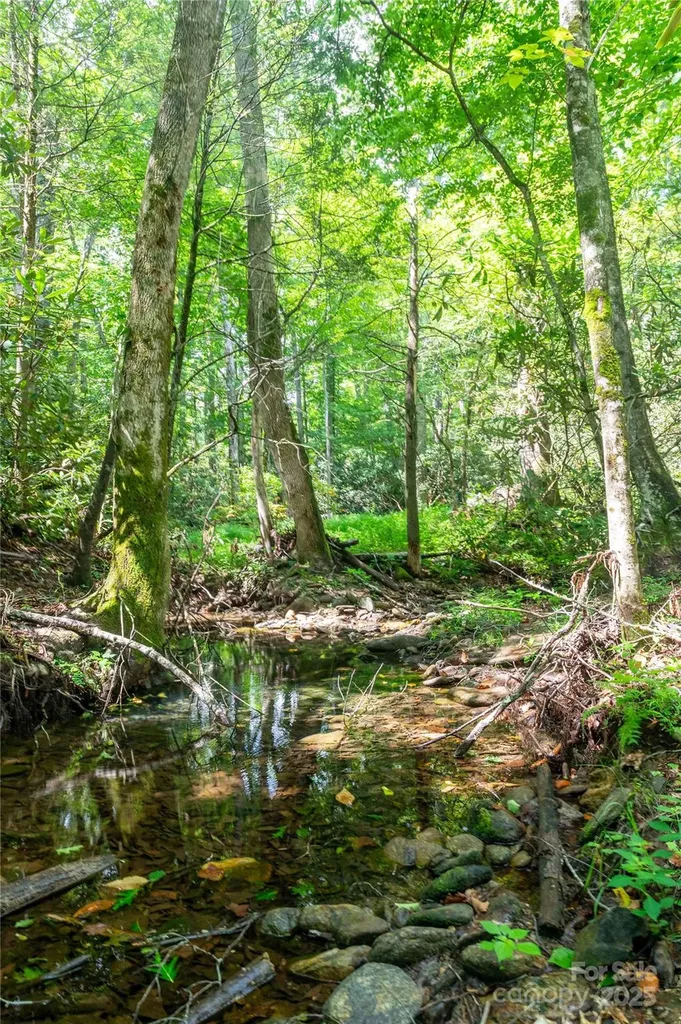 245 White Oak Creek Road Burnsville NC 28714