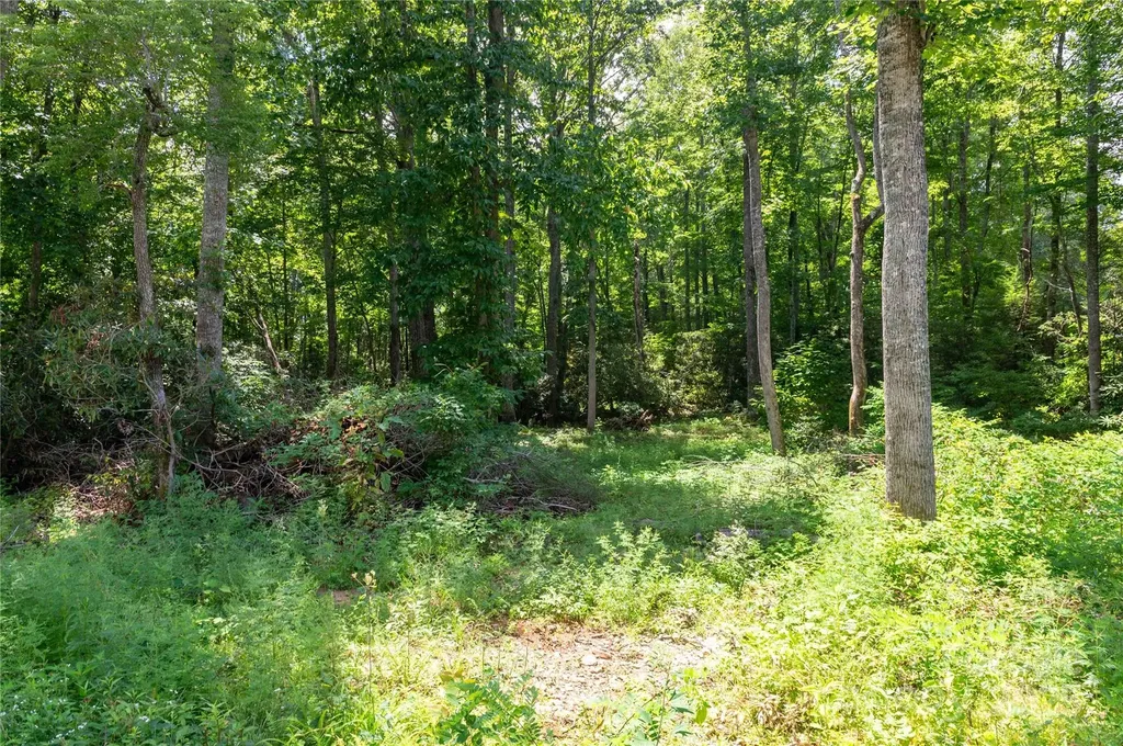 245 White Oak Creek Road Burnsville NC 28714