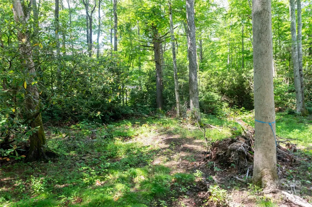 245 White Oak Creek Road Burnsville NC 28714
