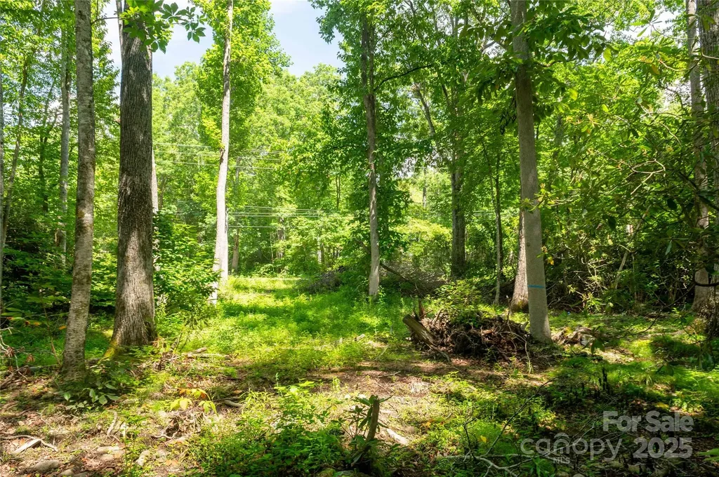 245 White Oak Creek Road Burnsville NC 28714
