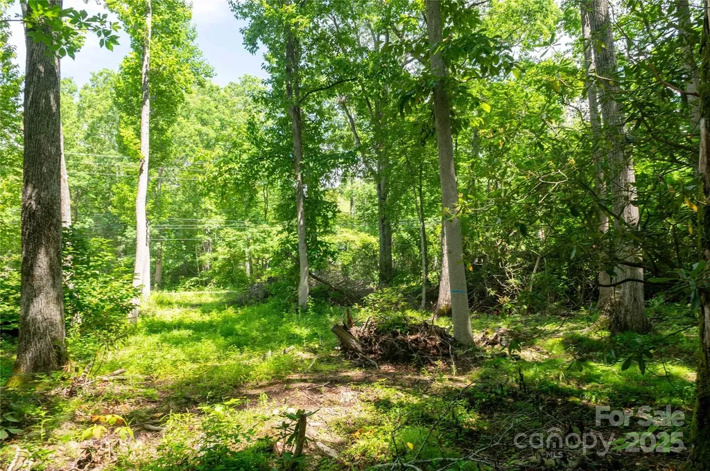 245 White Oak Creek Road Burnsville NC 28714