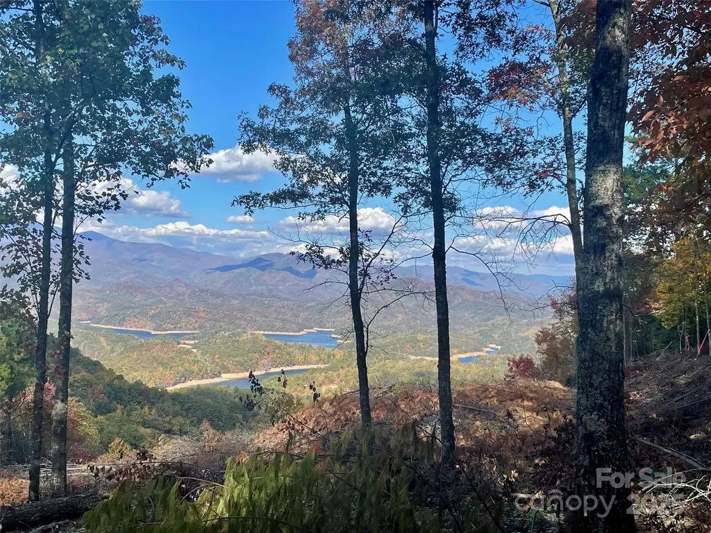 Lot 8 Rocky Ridge Road Almond NC 28702