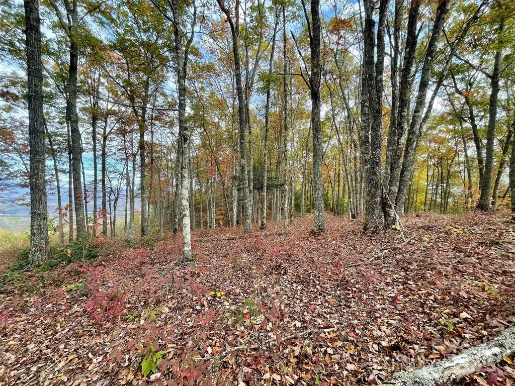 Lot 8 Rocky Ridge Road Almond NC 28702