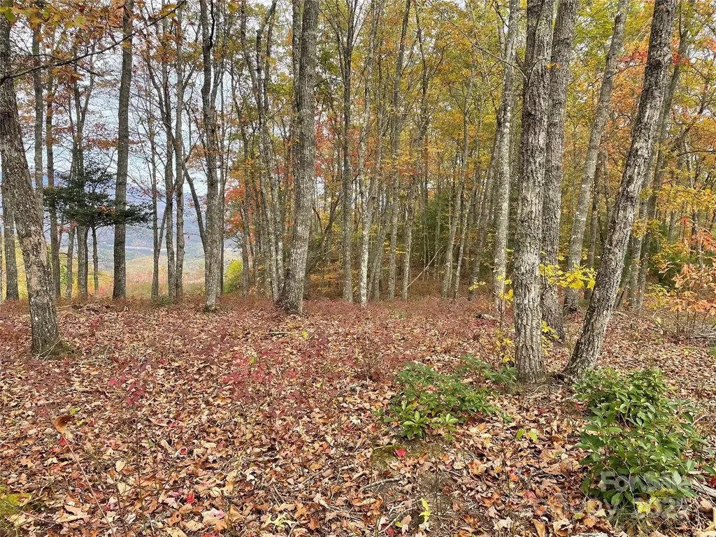 Lot 8 Rocky Ridge Road Almond NC 28702