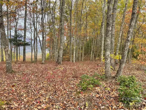 Lot 8 Rocky Ridge Road Almond NC 28702