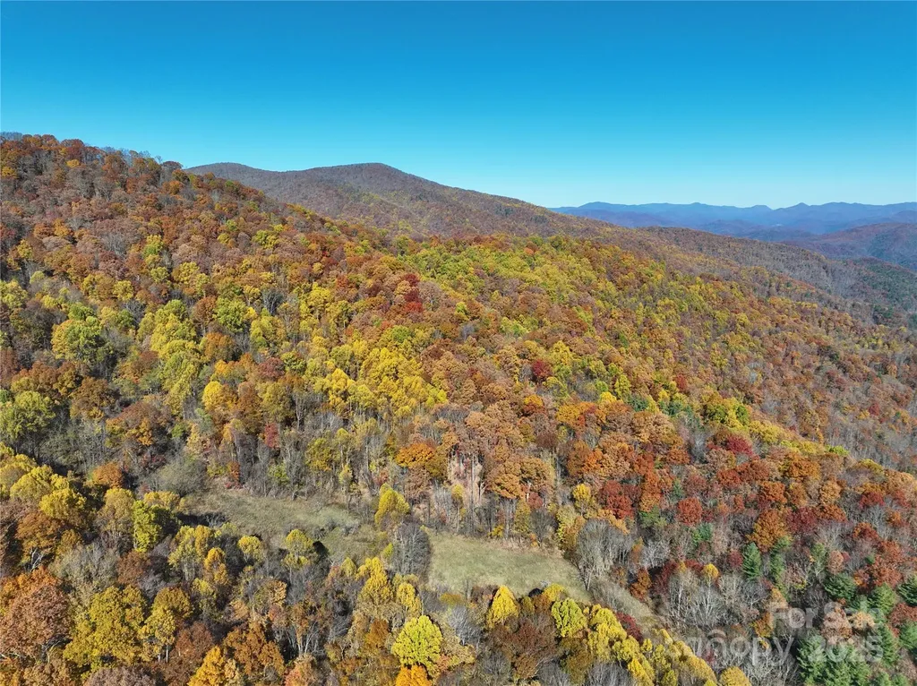 890 Panther Branch Road Hot Springs NC 28743