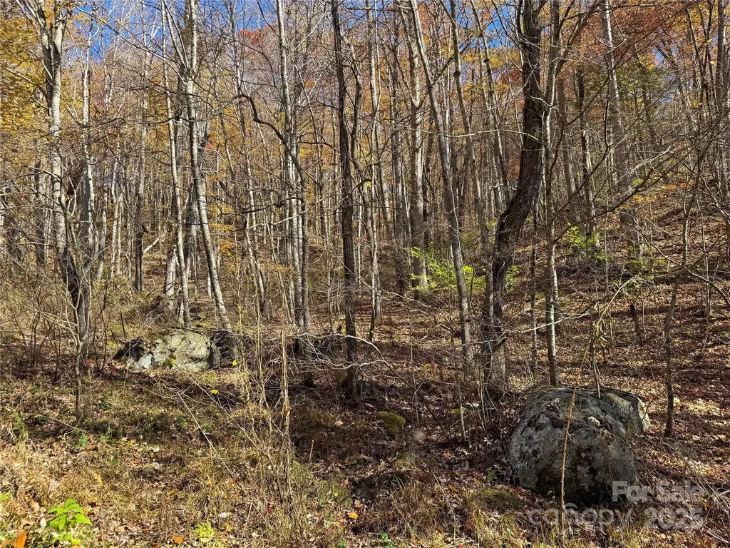 890 Panther Branch Road Hot Springs NC 28743