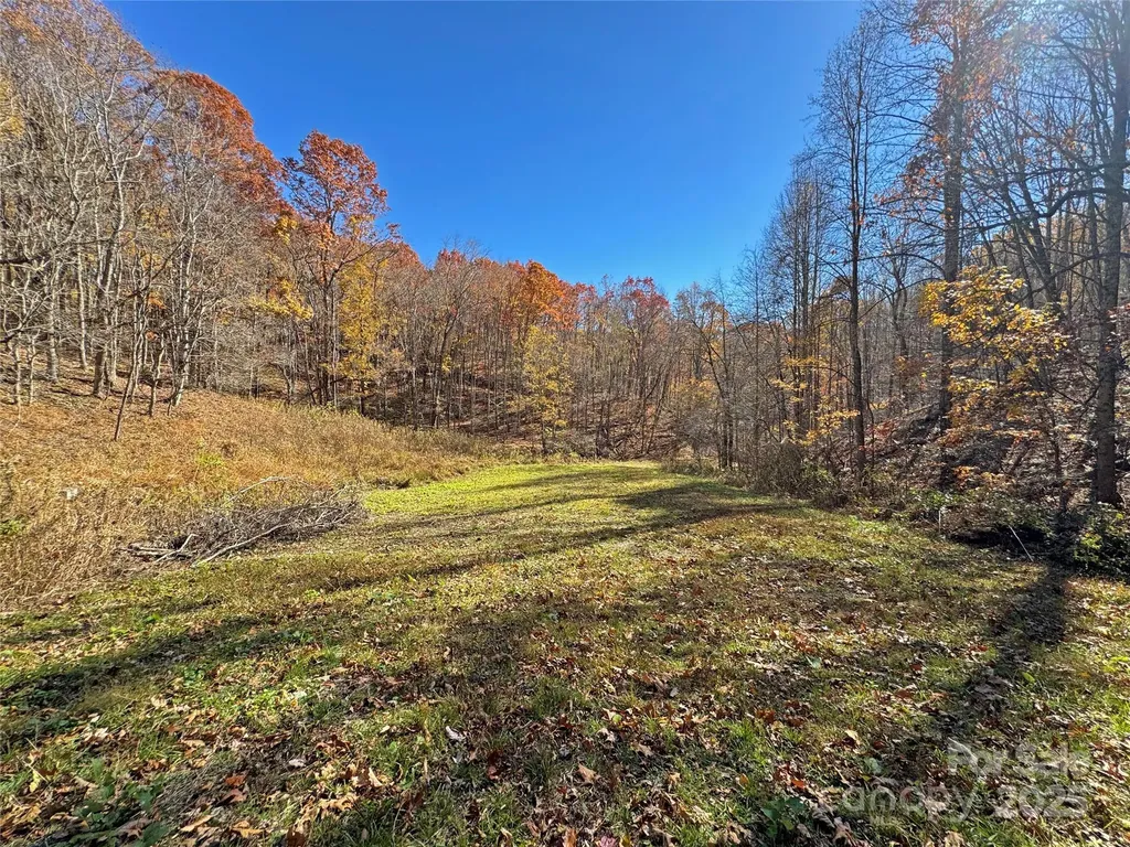 890 Panther Branch Road Hot Springs NC 28743