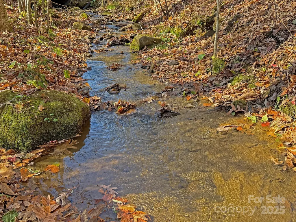 890 Panther Branch Road Hot Springs NC 28743