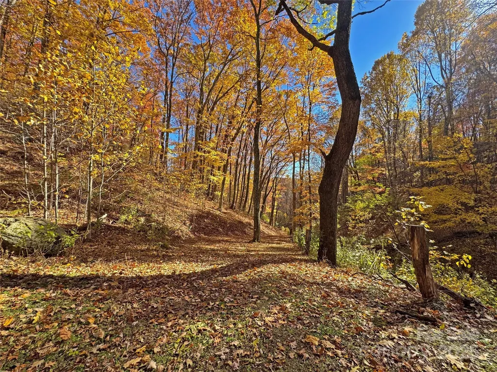 890 Panther Branch Road Hot Springs NC 28743