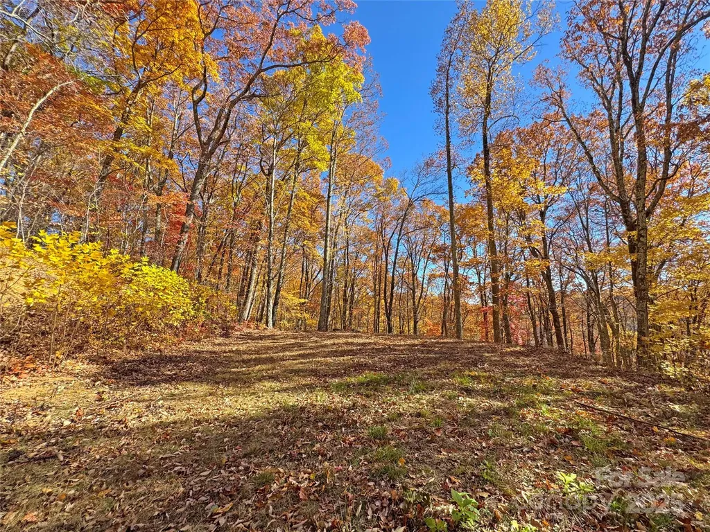 890 Panther Branch Road Hot Springs NC 28743