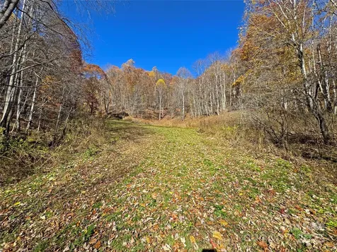 890 Panther Branch Road Hot Springs NC 28743