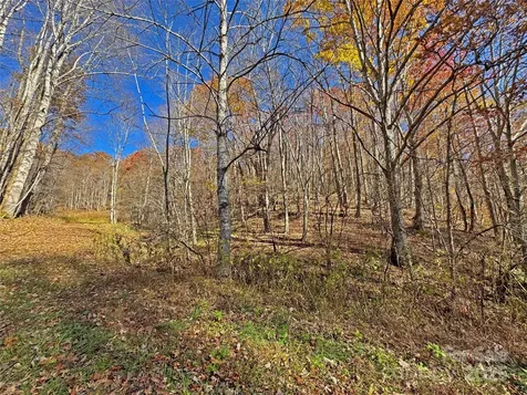 890 Panther Branch Road Hot Springs NC 28743