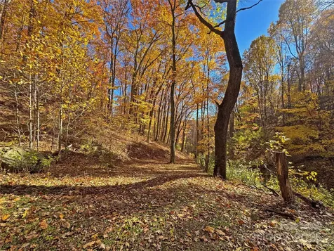 890 Panther Branch Road Hot Springs NC 28743