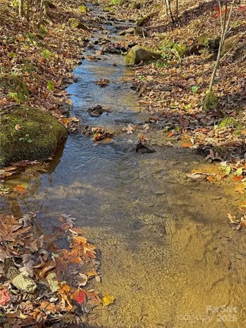 890 Panther Branch Road Hot Springs NC 28743