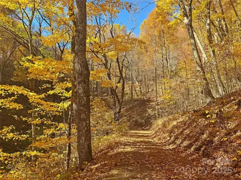 890 Panther Branch Road Hot Springs NC 28743