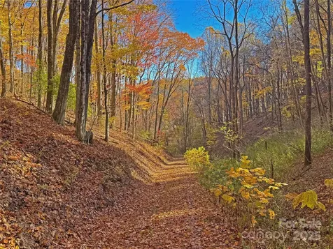 890 Panther Branch Road Hot Springs NC 28743