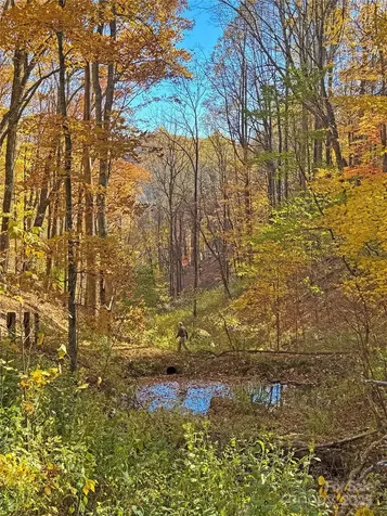 890 Panther Branch Road Hot Springs NC 28743