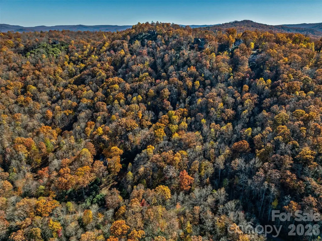 241 Skye Drive Pisgah Forest NC 28768