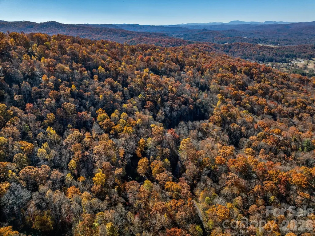 241 Skye Drive Pisgah Forest NC 28768