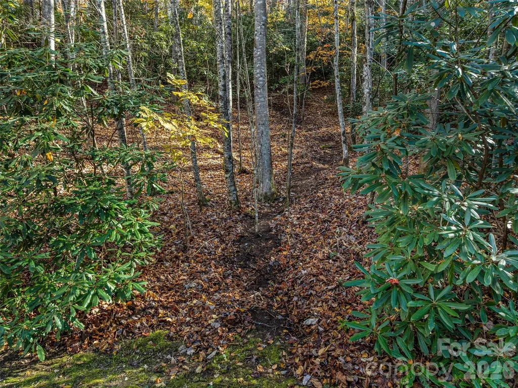 241 Skye Drive Pisgah Forest NC 28768