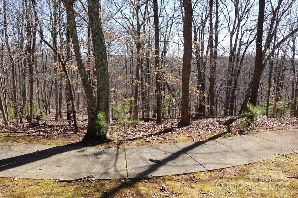 14427 Roe Buck Meadow Lane Charlotte NC 28278