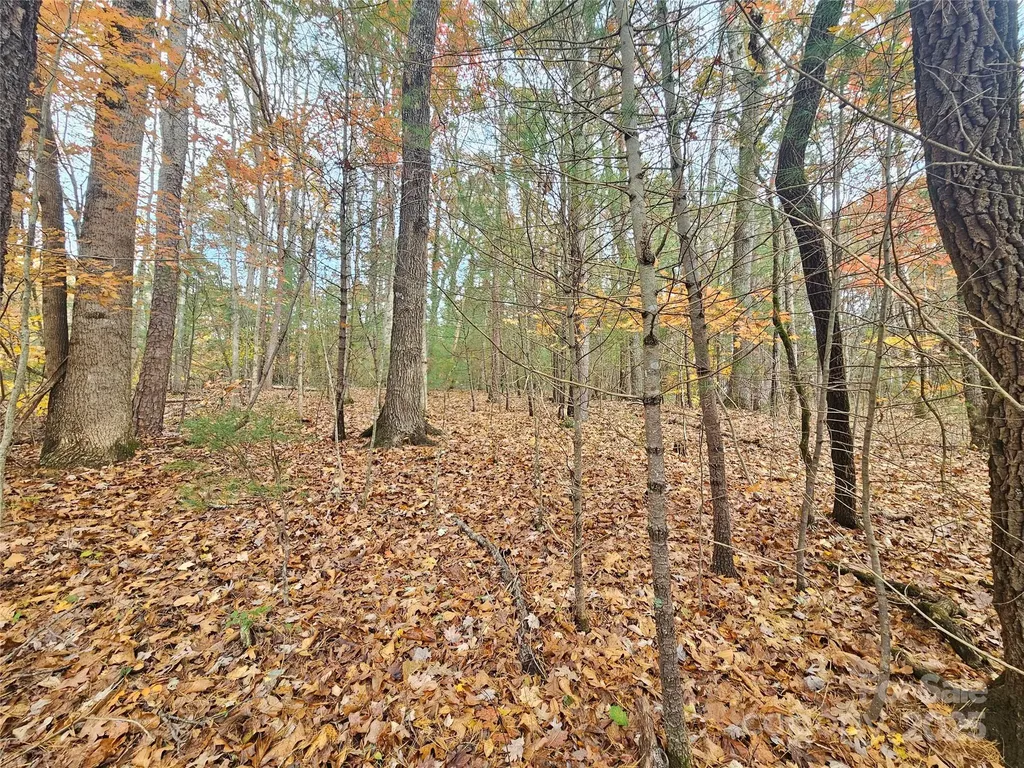 V/l Warlick Chapel Road Connelly Springs NC 28612