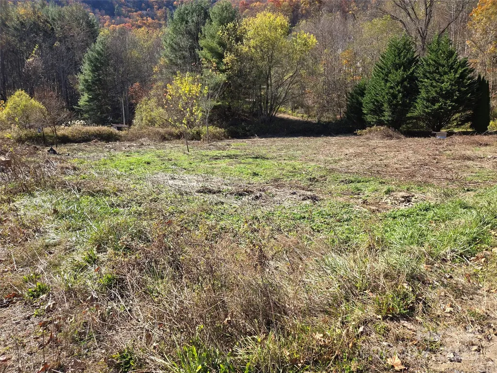 00 Eagles Trace Canton NC 28716
