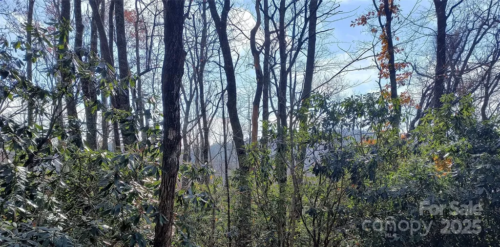 Lot 322 Sunny Drive Newland NC 28657