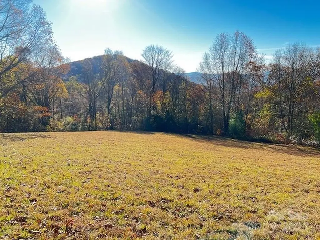 Lot 117 Autumn Sky Drive Hendersonville NC 28792