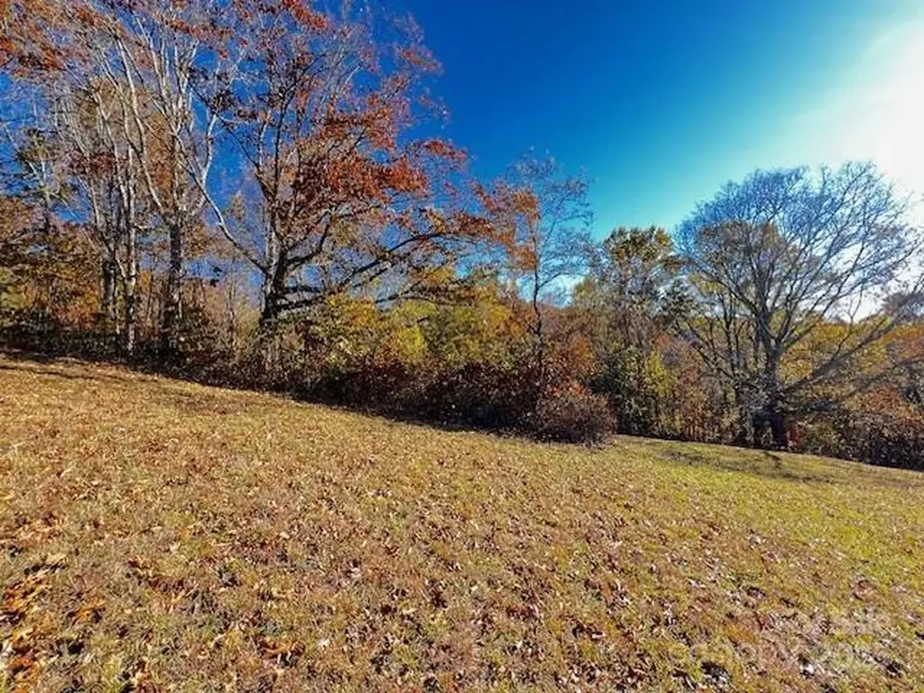 Lot 117 Autumn Sky Drive Hendersonville NC 28792