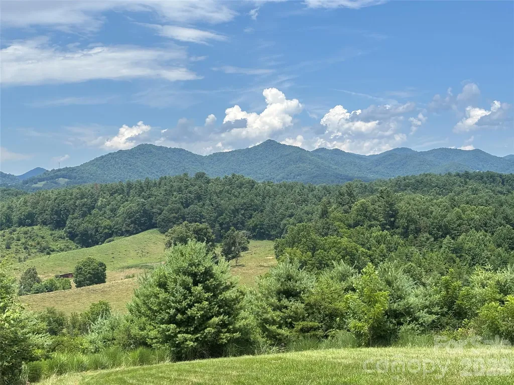 1387 Woods Ammons Road Mars Hill NC 28754