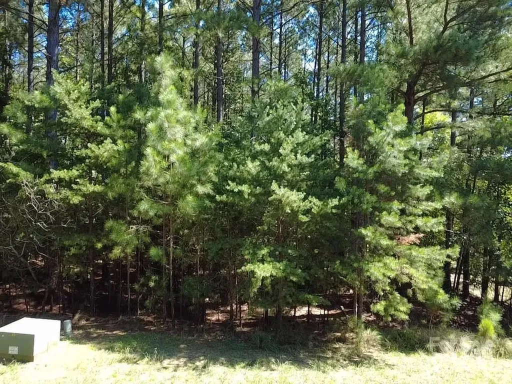 3124 Ashwood Park Drive Belmont NC 28012