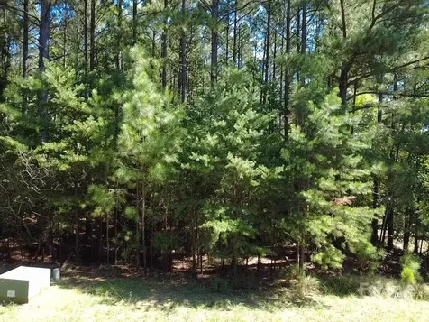 3124 Ashwood Park Drive Belmont NC 28012