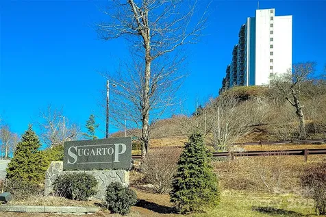 303 Sugar Top Drive Sugar Mountain NC 28604