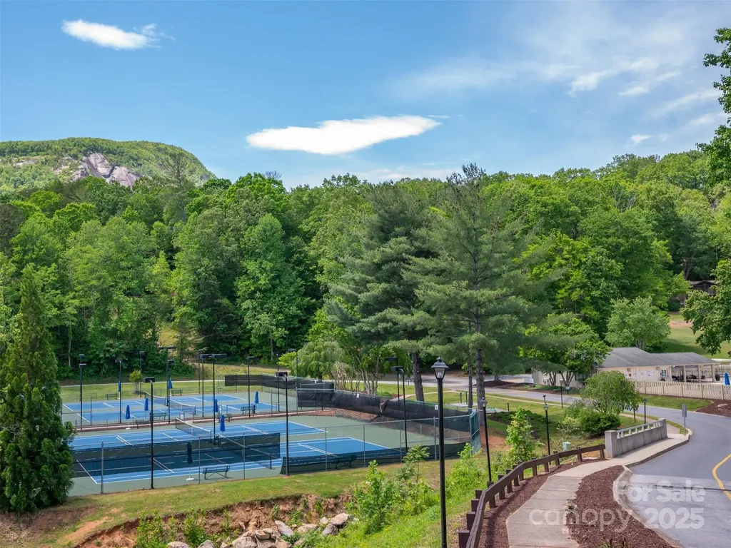 110 Lakewood Drive Lake Lure NC 28746
