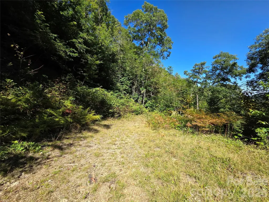 720 Autumn Drive Maggie Valley NC 28751