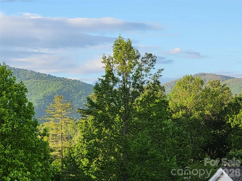 15 Madelyn Lane Fairview NC 28730