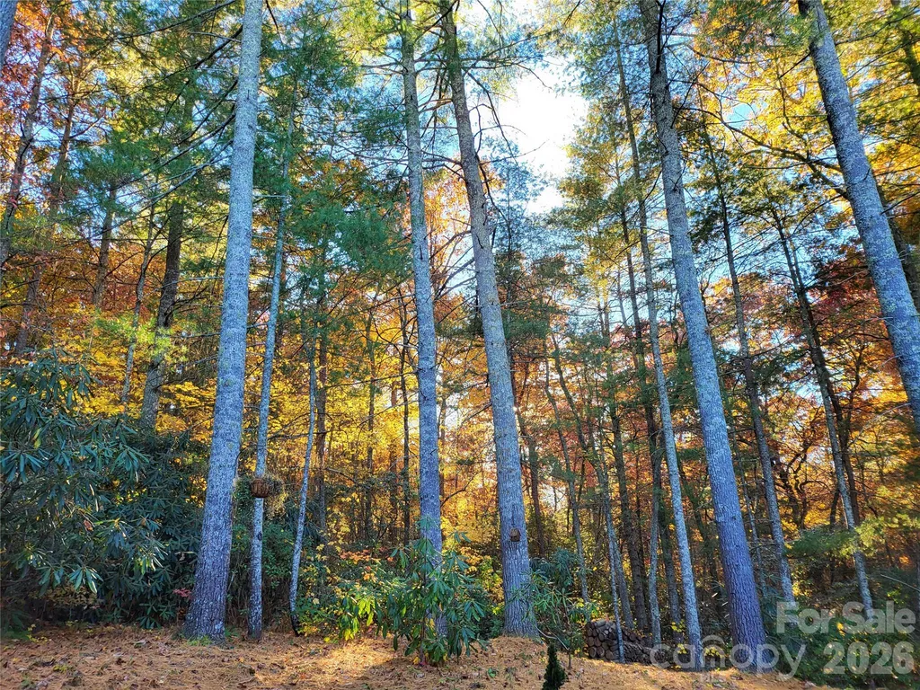15 Madelyn Lane Fairview NC 28730
