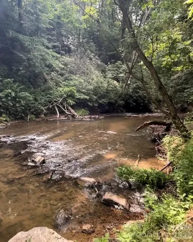 9/1 Old Mill Lane Weaverville NC 28787