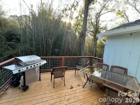9/1 Old Mill Lane Weaverville NC 28787