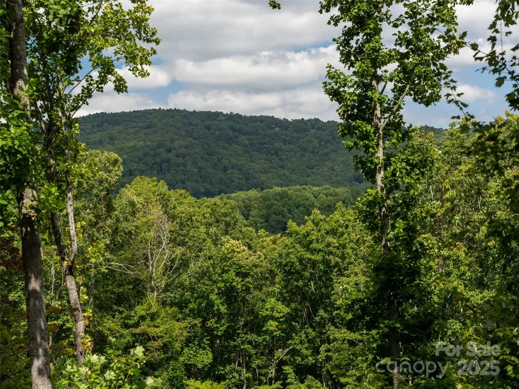 21 Windcliff Drive Asheville NC 28803