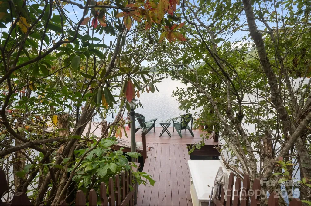 98 Taladu Court Brevard NC 28712