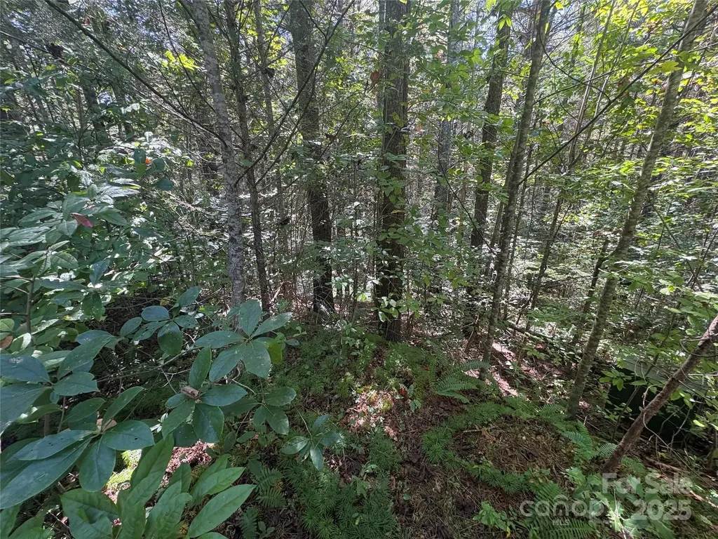 000 National Forest Drive Lenoir NC 28645