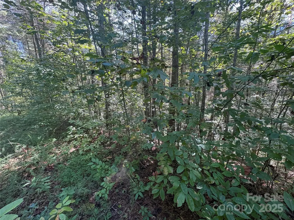 000 National Forest Drive Lenoir NC 28645